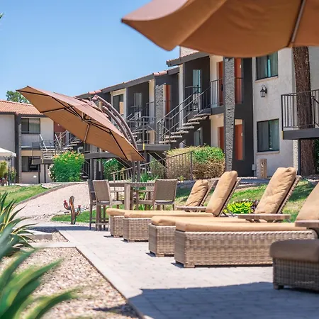 116 Fully Furnished 1Br Suite-Prime Location